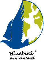 logo.png